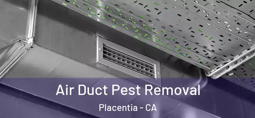 Air Duct Pest Removal Placentia - CA