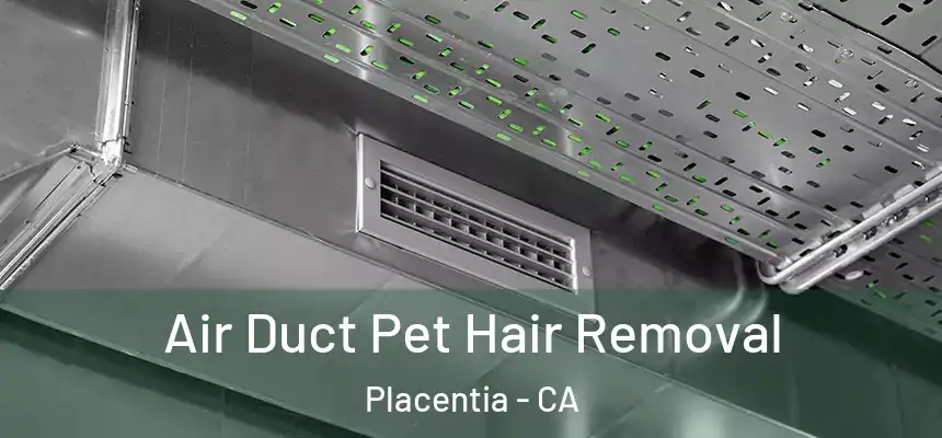  Air Duct Pet Hair Removal Placentia - CA