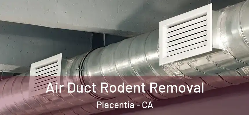 Air Duct Rodent Removal Placentia - CA