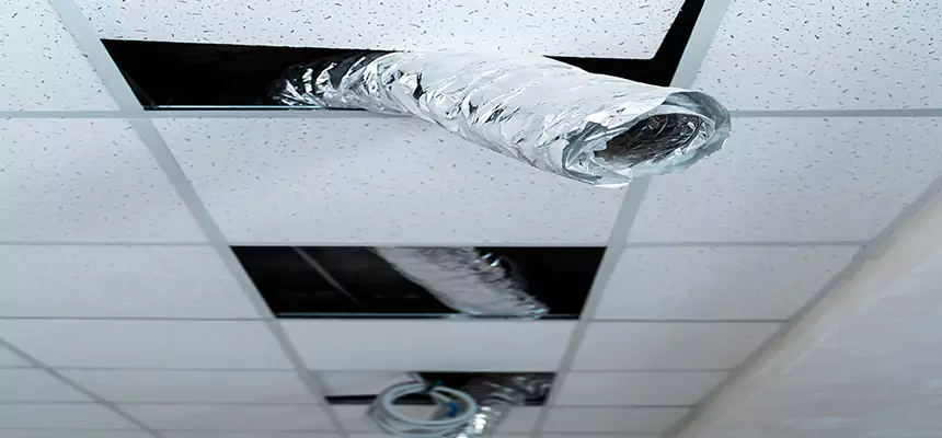 Affordable HVAC Sanitizing After Pest Removal in Placentia