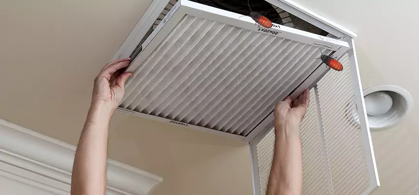 Our Insect Removal from Air Ducts Services in Placentia, CA