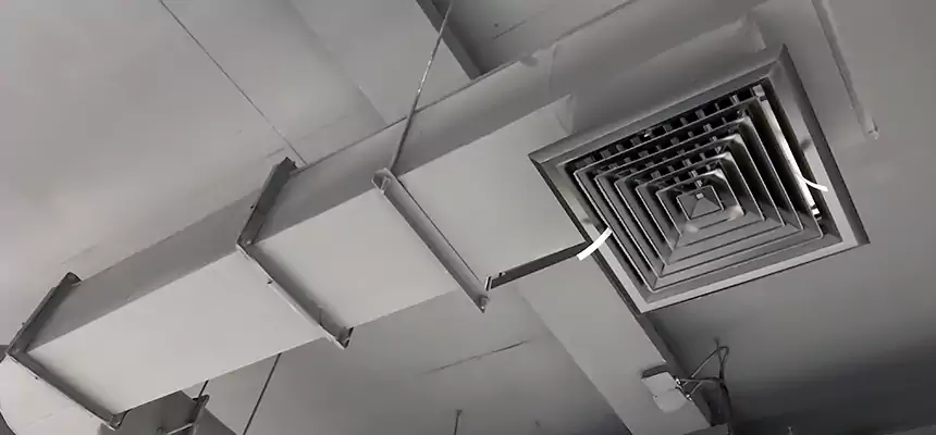 Our Pest Removal From Ducts Services in Placentia, CA