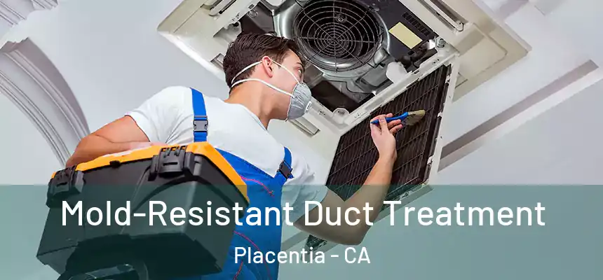 Mold-Resistant Duct Treatment Placentia - CA