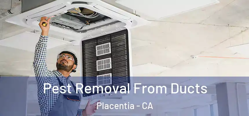 Pest Removal From Ducts Placentia - CA