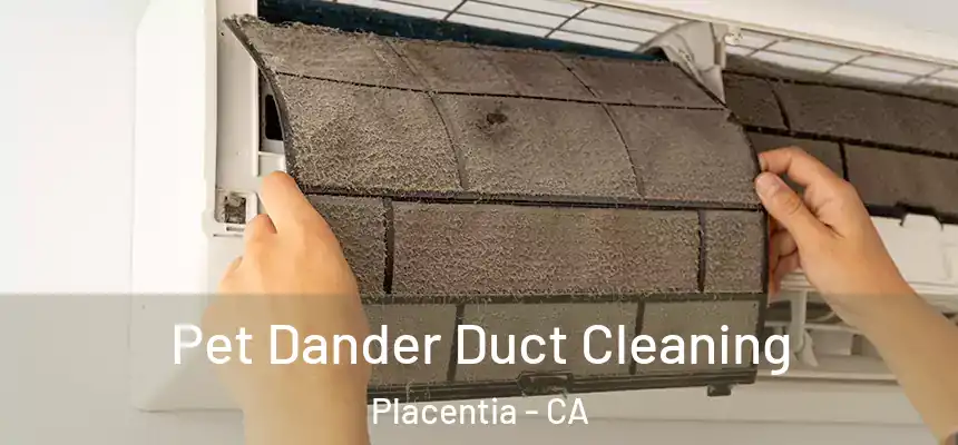Pet Dander Duct Cleaning Placentia - CA