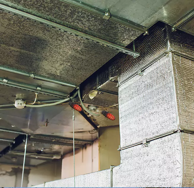 Why Homeowners & Businesses Trust Us in Placentia, CA?