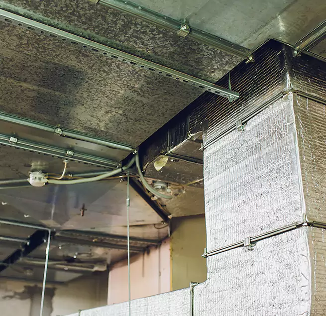 Why Homeowners & Businesses Trust Us in Placentia, CA?